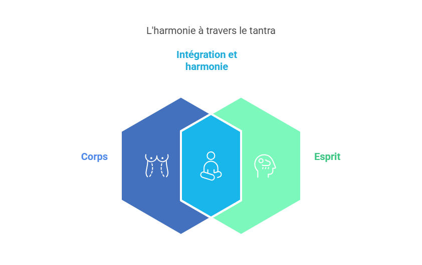 Les origines et la philosophie du tantra - visual selection